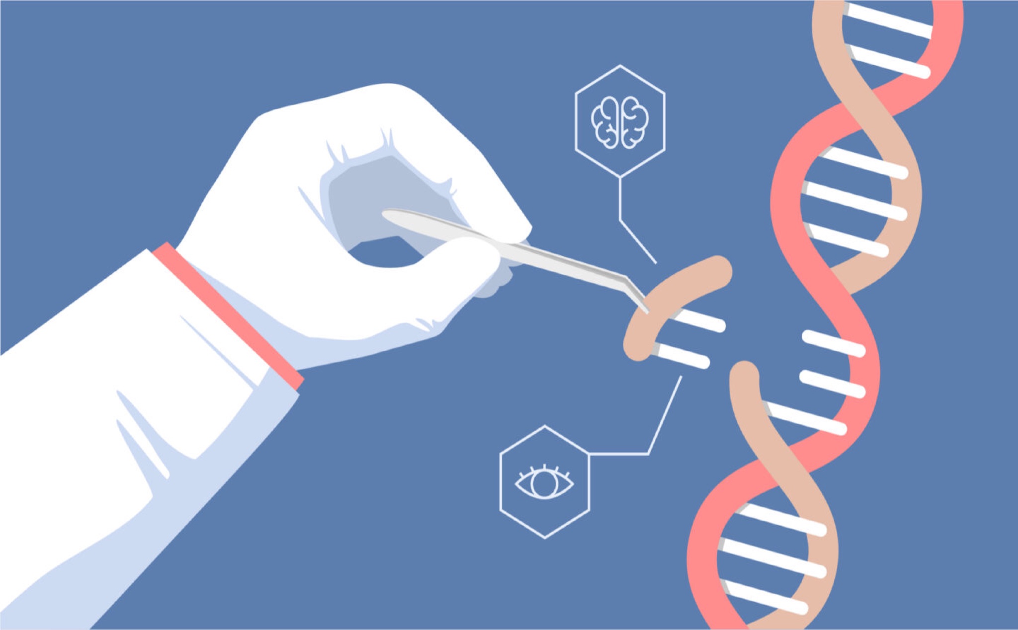 Nghiên cứu ra công cụ chỉnh sửa gen CRISPR